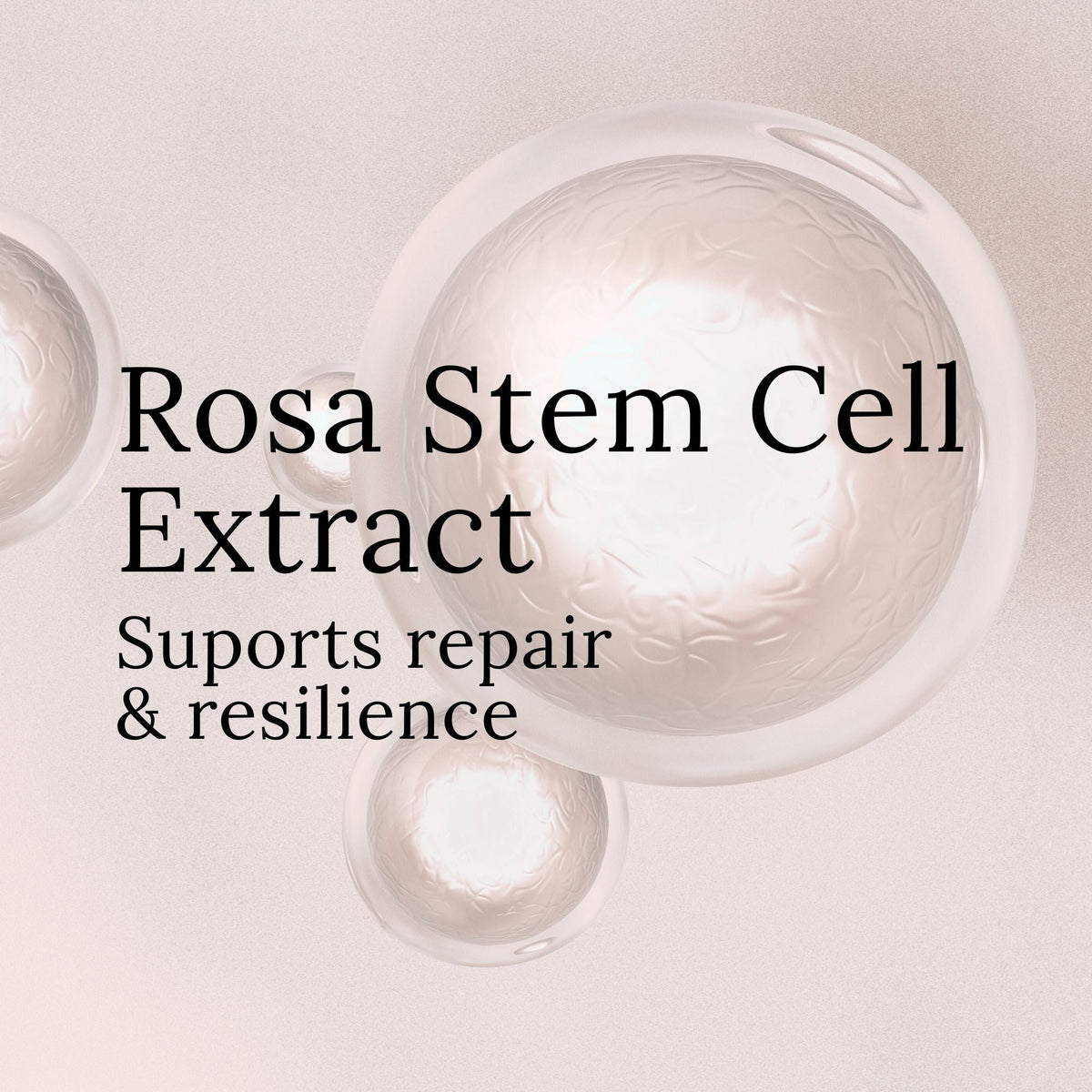 Rose Revitalizing Treatment Mask 3.0
