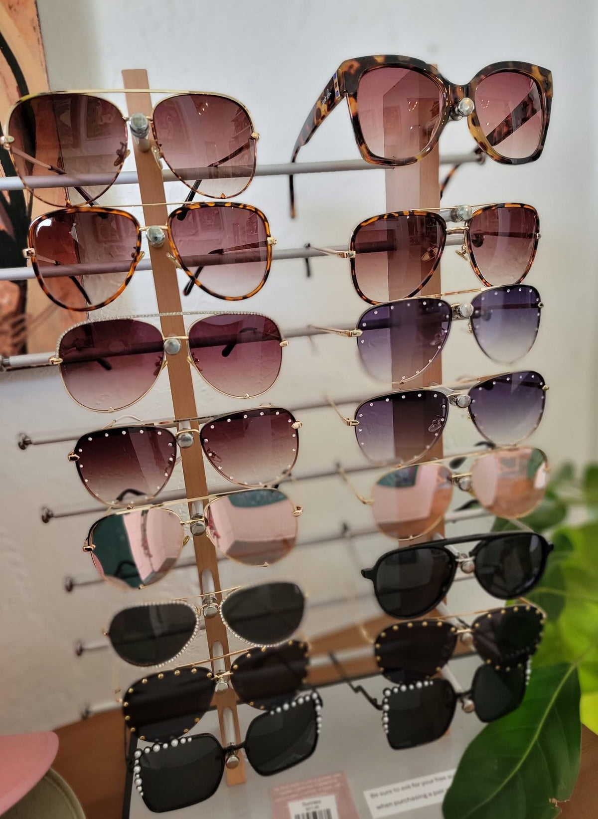 Sunnies Shades