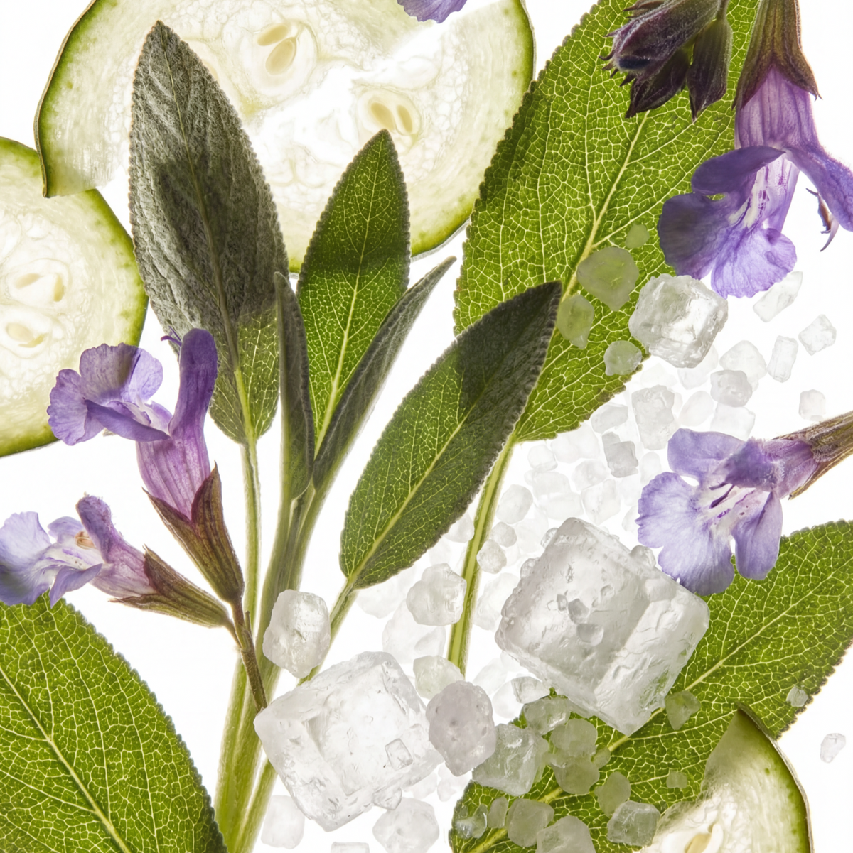 Sage & Sea Salt Eau de Parfum