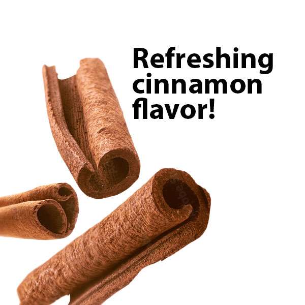 CHOMP Cinnamon Toothpaste Tablets
