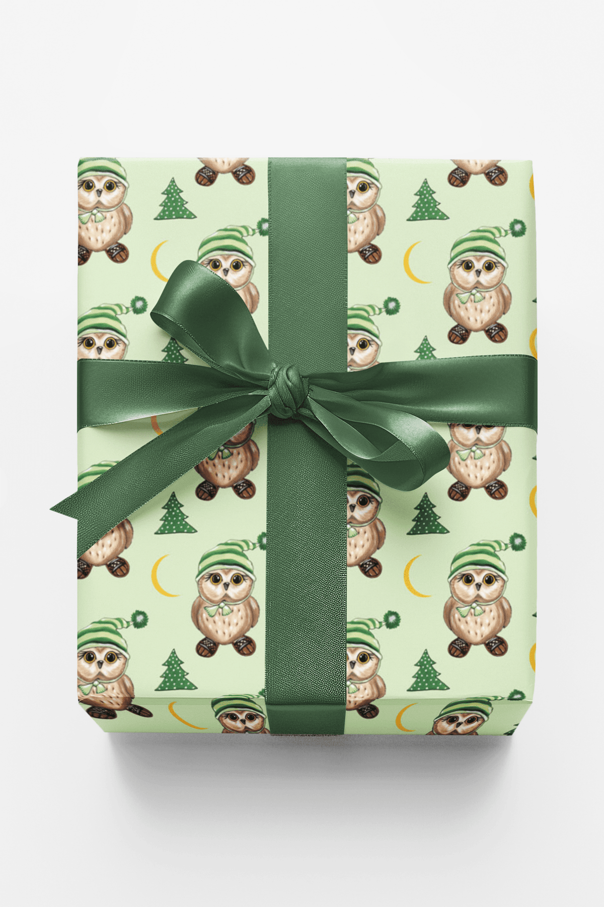 Snowshoe Owl Wrapping Paper | Michelle Gilsey | Artist Corner