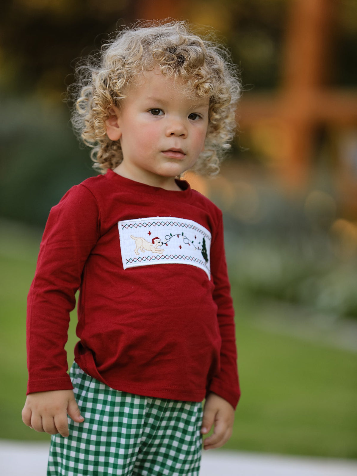Christmas Tree Dog Smocking Embroidered  Plaid Boys Set